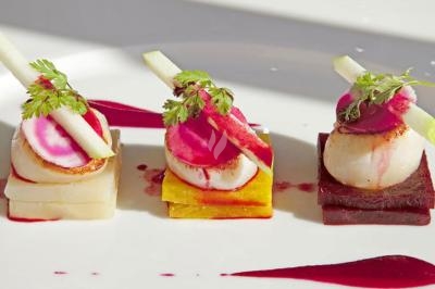 Assiette gastronomique composée de noix de Saint-Jacques, légumes colorés et décorations raffinées.