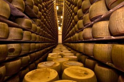 Rangées de meules de fromage entreposées dans un vaste espace de stockage.